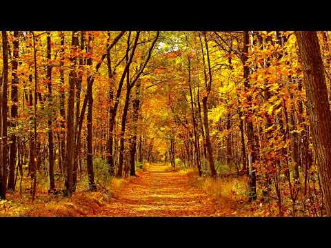 You Hee-yeol - In the Park (Piano Cover)