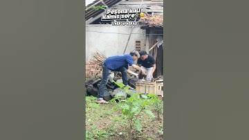 Siklus kuli kamis sore #funny #kocak #komedi #fyp