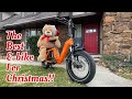 Why You Deserve A Haoqi Camel Cargo Electric Bike!