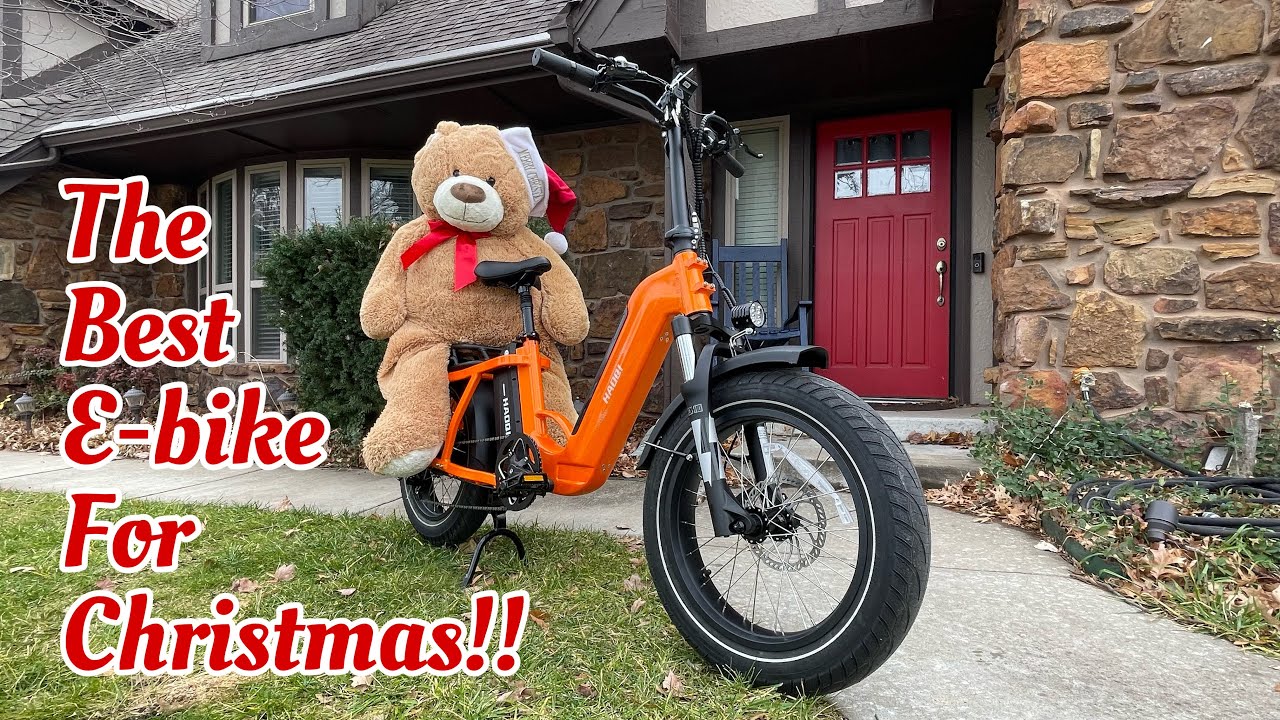 Why You Deserve A Haoqi Camel Cargo Electric Bike!