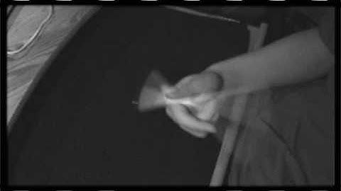 absolut unkreativ 1st