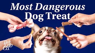 Can Dogs Eat Bones? Vet Exposes the Terrifying Truth You Need to Know!