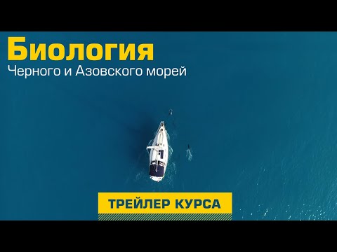 Трейлер | Биология Черного и Азовского морей
