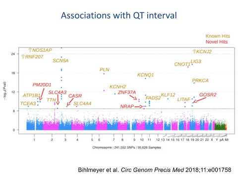 Video: Analiză Cuprinzătoare A QTL PM20D1 în Boala Alzheimer