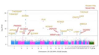 ExomeChip Identifies 10 Novel QT Loci