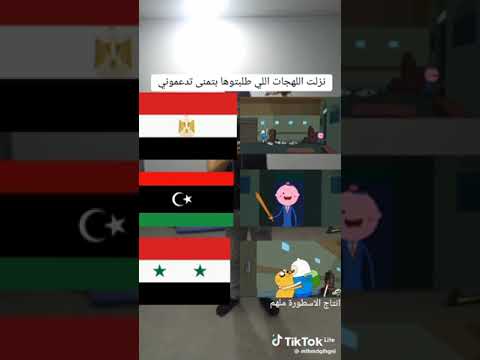 وقت المغامرة تحشيش فين وجيك رمضان كريم Shorts
