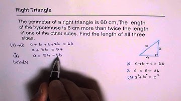Perimeter of Right Triangle Quadratic Function Application Test