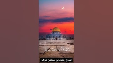 ألا إن نصر الله قريب - #تلاوات #مزامير #شهر #روائع #الاقصي_مسجدنا #القدس #ايات