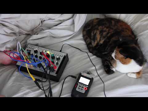 Patch Notes 002: Plucking a Ring | Mutable Instruments Rings and Clouds w/ Pamela's New Workout