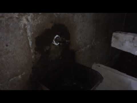 საღორეში ტიხარი გავაკეთე