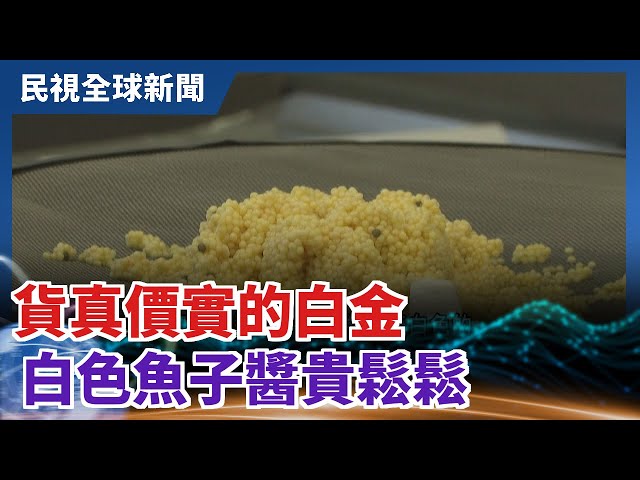 【民視全球新聞】貨真價實的白金 白色魚子醬貴鬆鬆 2021.02.14