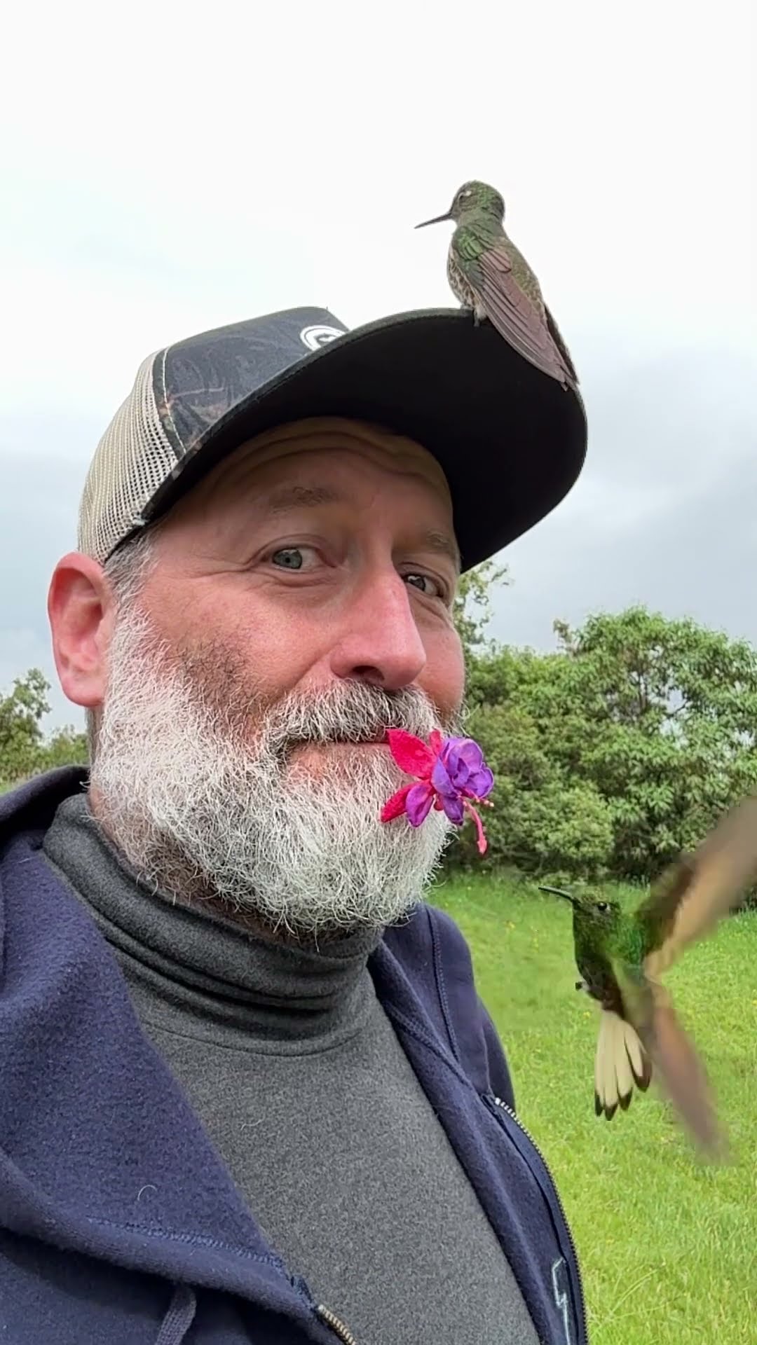 Two Hummingbirds Visit Man Holding Flower || ViralHog
