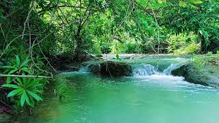 Waterfall Sounds for Sleeping with No Ads or Interruptions