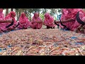 Tiger Shrimp &amp; Potato Gravy Recipe - 40 KG Tiger Prawn Delicious Curry Cooking - Youtube Village