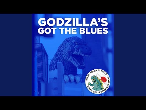 Video I Dont Like It Like That