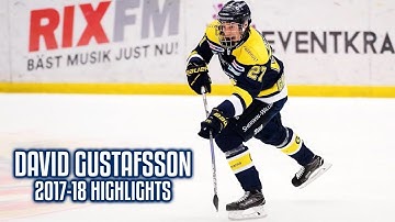 David Gustafsson | 2017-18 Highlights