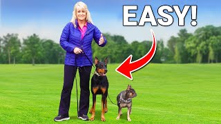 The SECRET to Walking Multiple Dogs at THE SAME TIME!