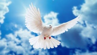 The Lord lift up His countenance, And give you peace (Numbers‬ ‭6:26‬)-Thought for the Day-30Jun2021