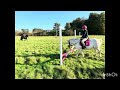 Pony Club Cross Poles