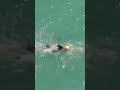 Olivia Mathias crushed the swim in Haikou 🌊 #Triathlon #Swim #shorts