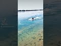 شط النيل جعفر الصادق 