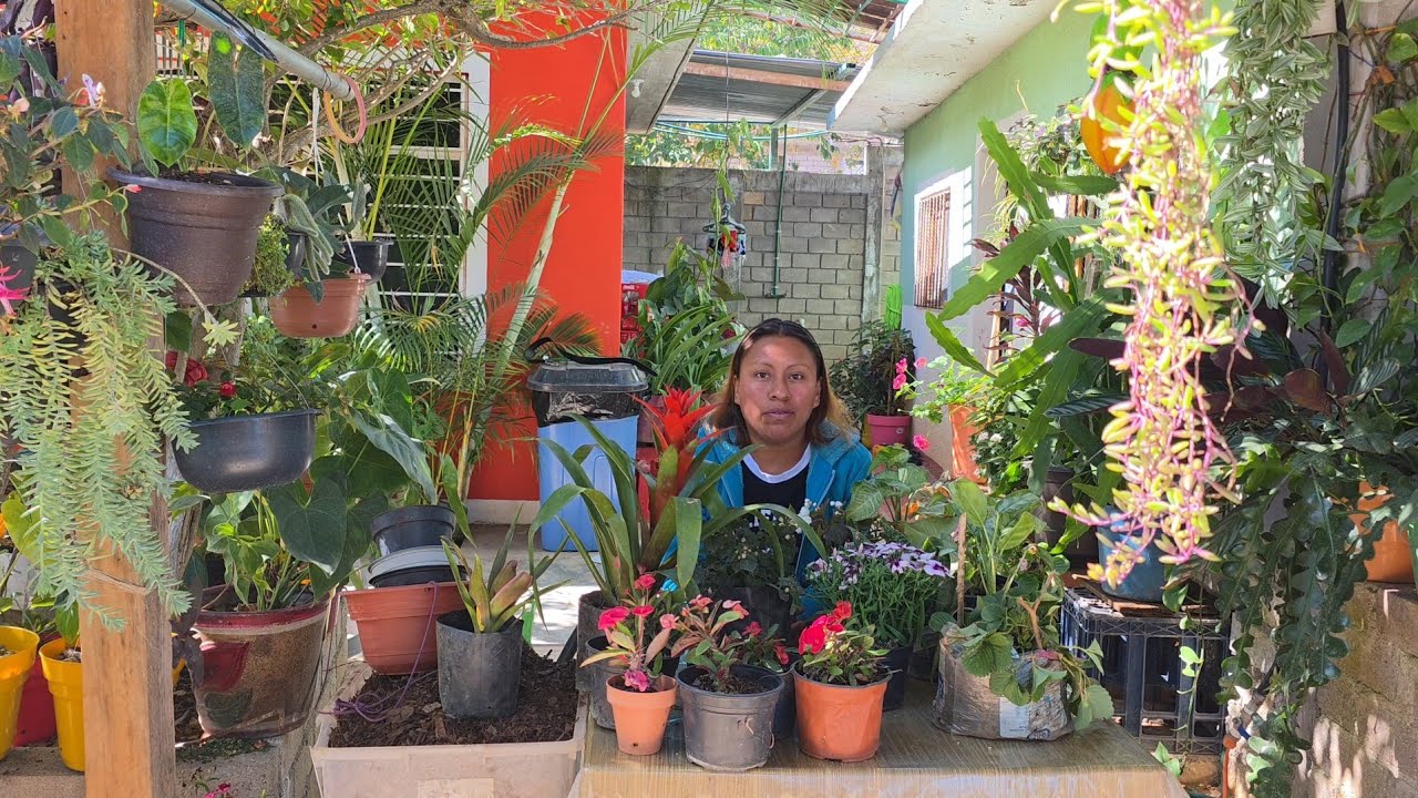 Trasplante , se me acomularon muchas plantas🙄😮.