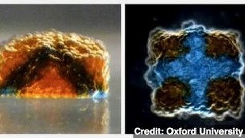 3D Printers One Step Closer to Creating Human Tissue