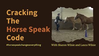 Cracking The Horse Speak Code - Horse Speak 101