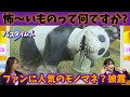 【怖い？かわいい？】長岡市にいる謎のパンダ… 小越春花（NGT48）がファンに人気（？）のモノマネ披露！ ＜バズタイムズ＞