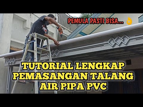 Video: Bisnis stroberi: tips untuk pemula