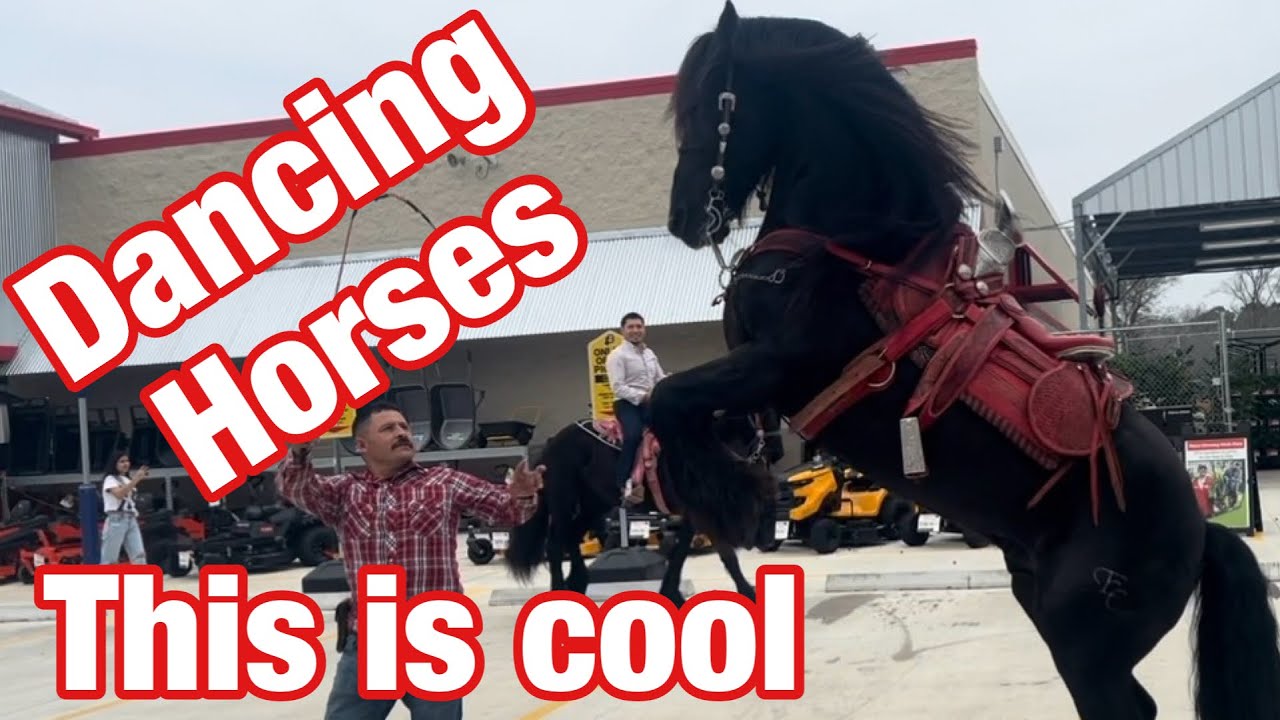 The Boys Found Their First Snake 🐍 