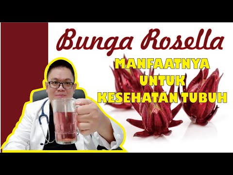 Video: Menanam Tumbuhan Roselle: Ketahui Mengenai Kegunaan Dan Kebaikan Roselle