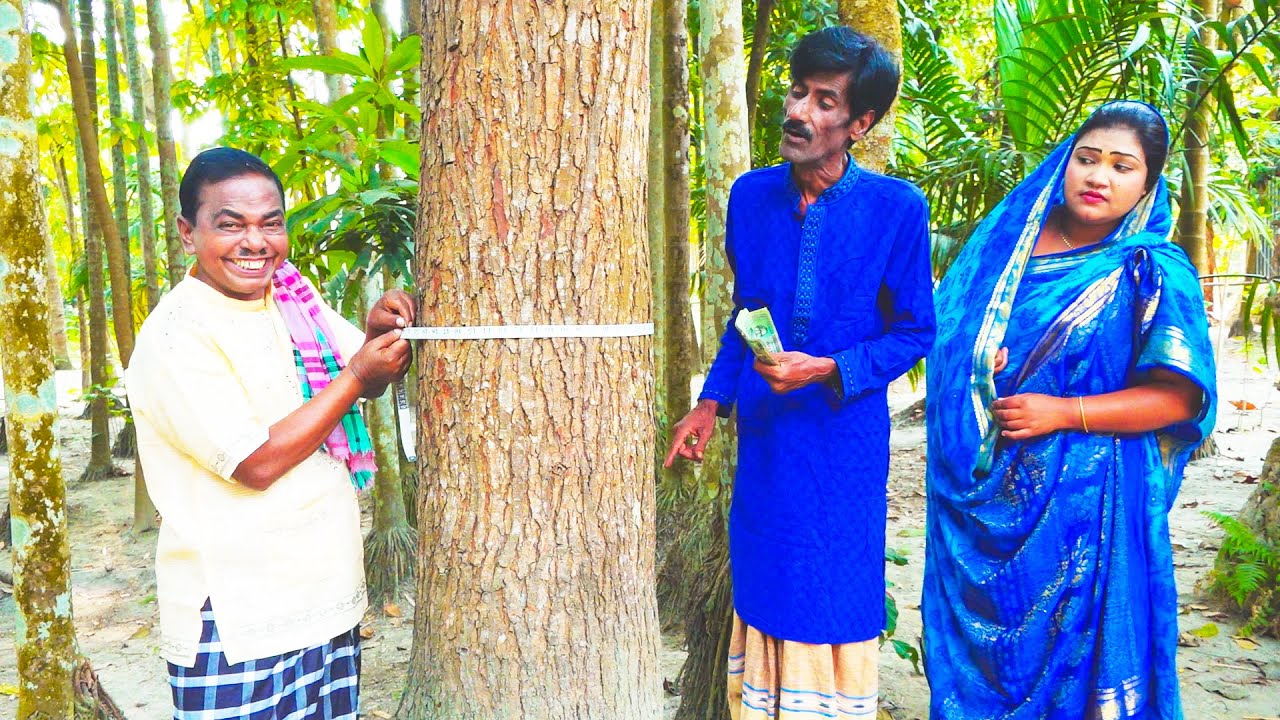 Ali Robi গাছের বেপারী | Ashan Ali | Robi Chengu | Original Vadaima | Vadaima ...