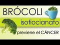 BRÓCOLI - ISOTIOCIANATO / UNA MANERA DE PREVENIR EL CANCER