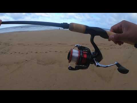 Picked up a cheap Shimano Sienna 4000 reel for surf perch fishing