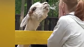 Very Funny Random Memes Number 2