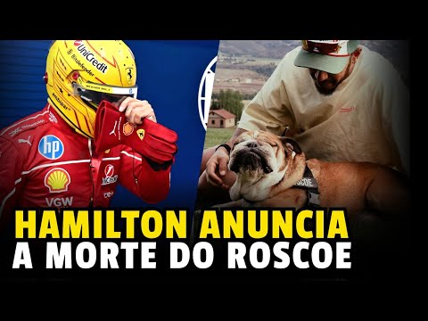 Lewis Hamilton Anuncia O Falecimento Do Seu Cachorro Roscoe | Formula 1