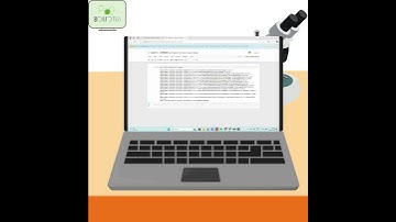 How to create a publication ready figure | Python #excel #pythonessperspective #python #shorts