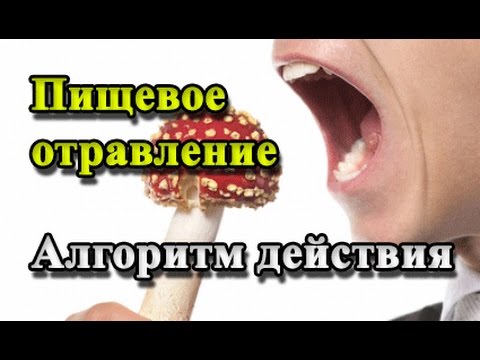 ОТРАВЛЕНИЕ Стадии отравления. Правильный алгоритм действия.