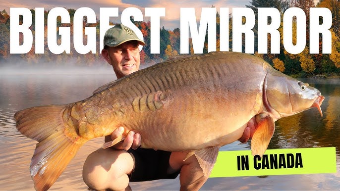 Mastering the Art: Catching Wild Carp in Big Canadian Lake - Tips