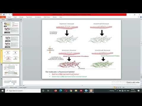 Video: Welke conclusie kun je trekken uit microarray-gegevens?