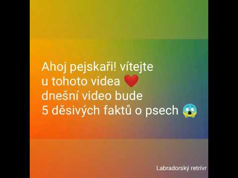 Video: 5 Neobvyklá Fakta O Psech