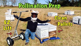 POLLINATION BEES to Clean PALLETS  | EZ-Lift Hive Truck