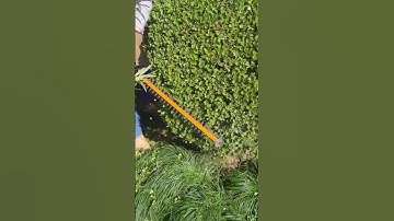 Effortlessly Trim Your Hedges with the Green Hedge Machine