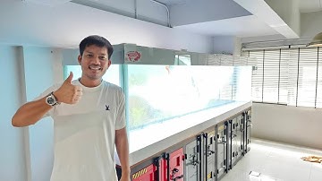 Ton TKK คลอง 4 - NC. ส่งนีโน่ไปสัมภาษณ์คุณต้นเกี่ยวกับตู้ปลา 3 ม./กรองดรัม กับการร่วมทีม NC.  Set 1