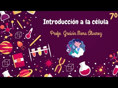 V2 Tipos de