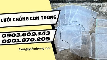 Túi bọc trái cây chống côn trùng giá rẻ