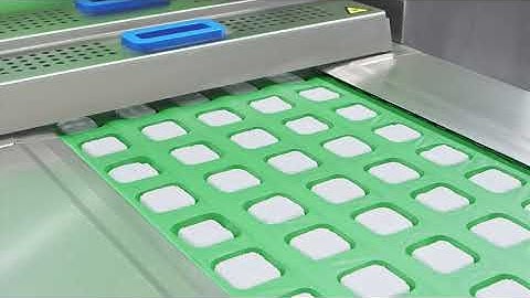 SEALPAC RE25 for non food