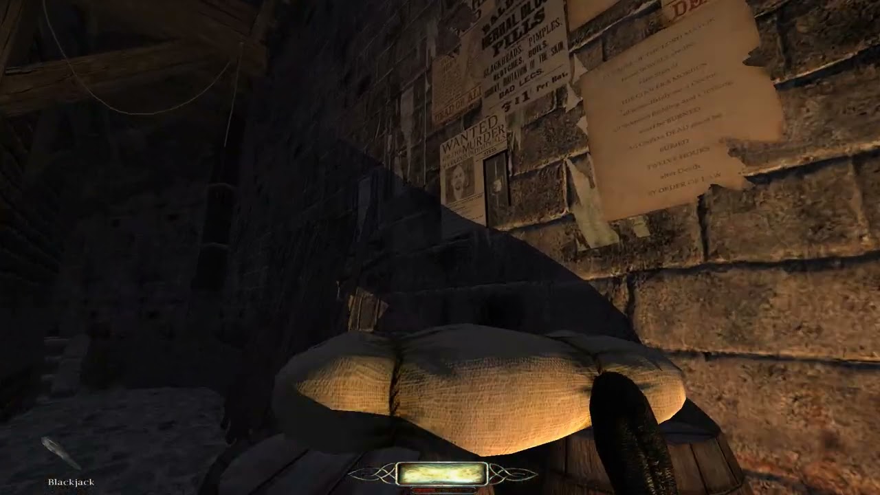 The Dark Mod - Mission 1: A New Job 100% complete