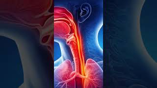 Functional Outcome After Robotic Surgery | Dr. Anand Subash | Robotic Cancer Surgeon in Bangalore